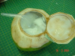 coconut_jelly10.jpg